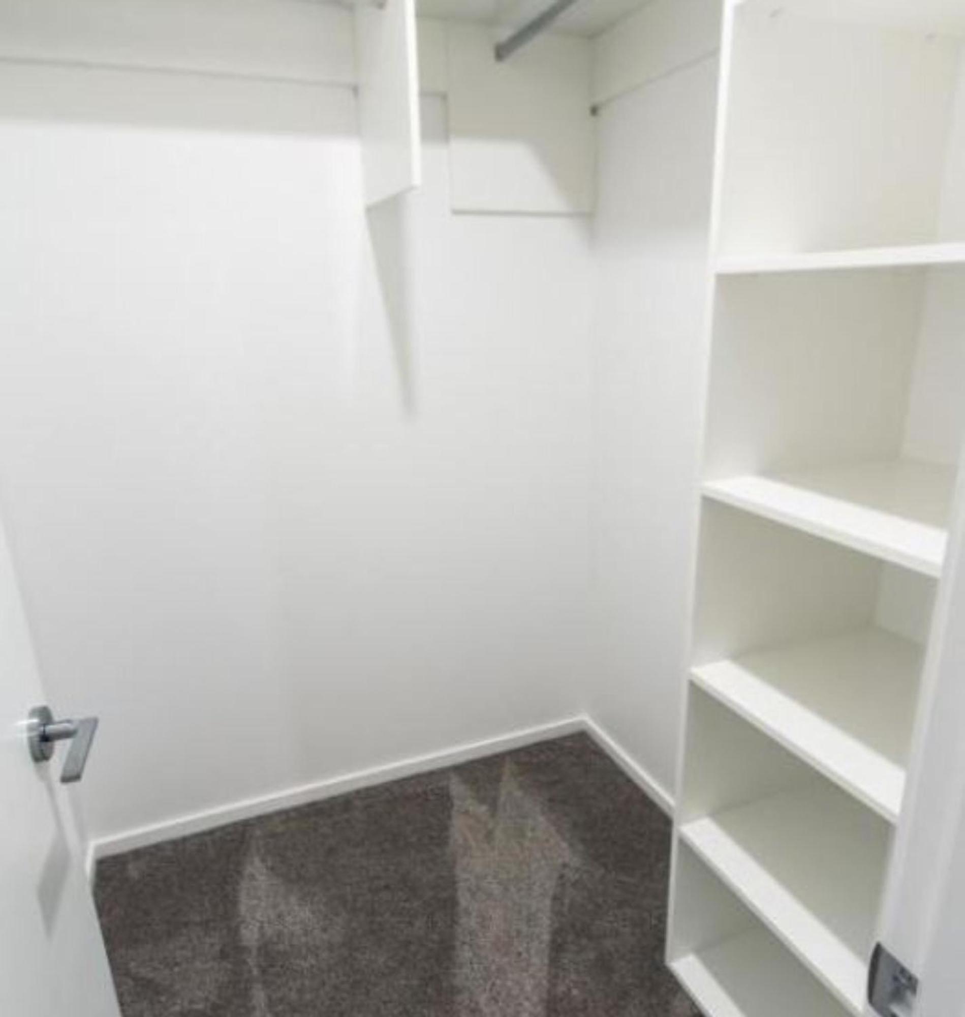 Modern 3 Bed Overlooking Hagley Park Christchurch Eksteriør bilde